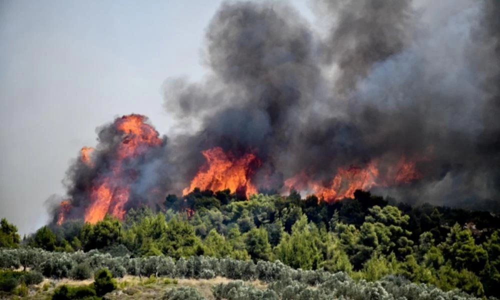 Σε εξέλιξη πυρκαγιά στην Πρέβεζα